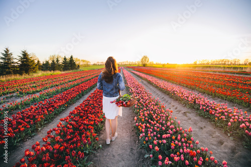 Woman with flowers in the basket on tulip field in spring