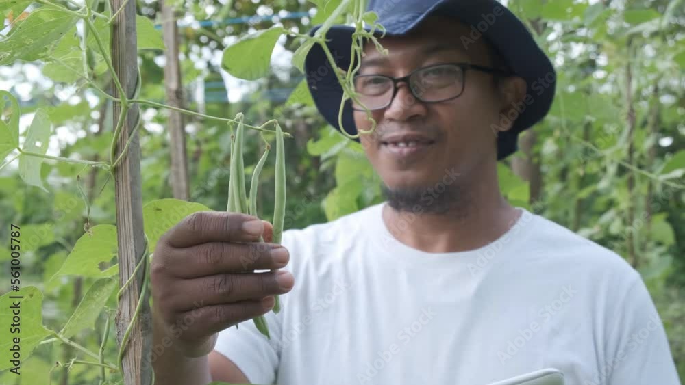 a modern farmer is taking inventory and collecting data, checking crops and recording them on a tablet close up a modern farmer is taking inventory and collecting data, checking crops and recording them on a tablet close up