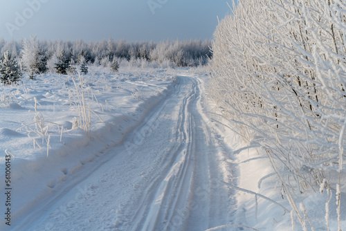 Winter landscape with trees in hoarfrost and a road in the forest.
