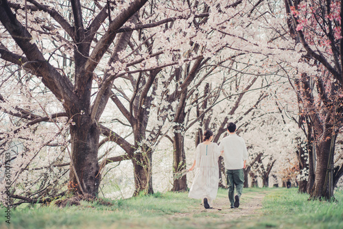 桜並木を歩く夫婦 © Kobayanski