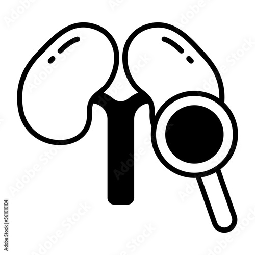 Magnifier in front of kidneys showing concept of health checkup
