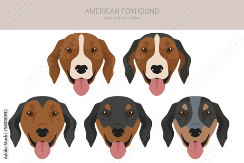 American foxhound all colours clipart. Different coat colors set photo