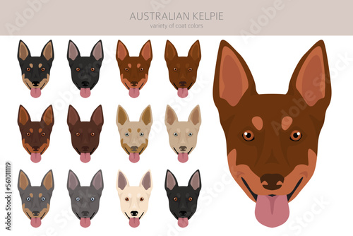 Australian Kelpie all colours clipart. Different coat colors set