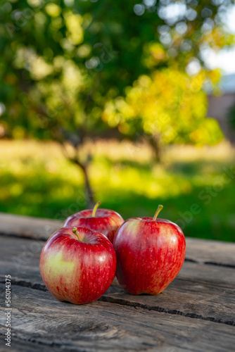 Ripe red apples on wooden background .