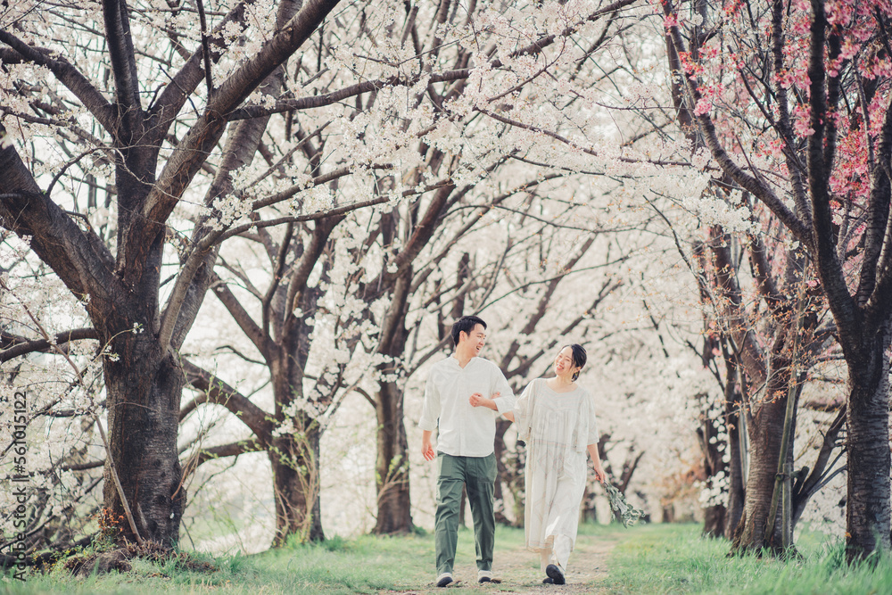 桜並木を歩く夫婦
