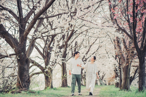 桜並木を歩く夫婦 © Kobayanski