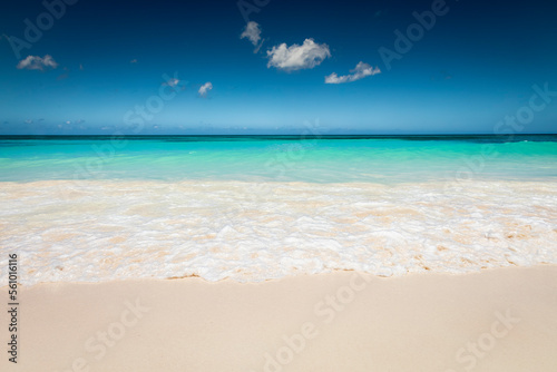 Tropical paradise  sand beach in caribbean Saona Island  Punta Cana  Dominican