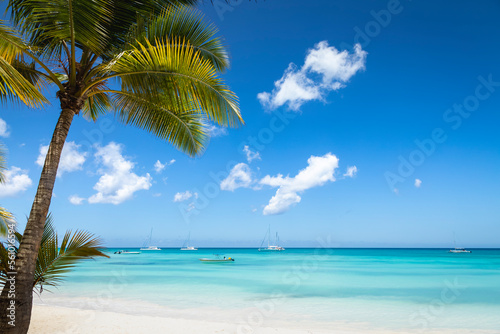 Tropical paradise  sand beach in caribbean Saona Island  Punta Cana  Dominican