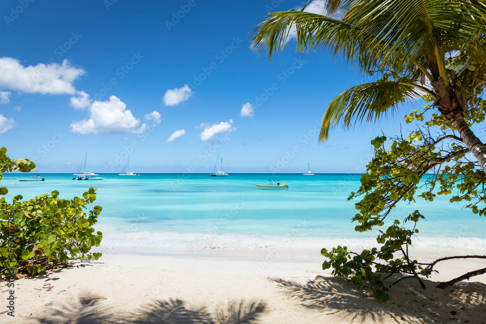 Tropical paradise, sand beach in caribbean Saona Island, Punta Cana, Dominican