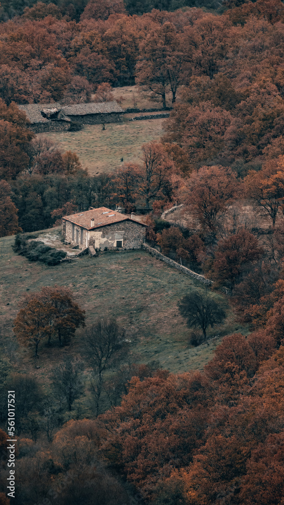 Obraz premium Old rural house in the mountains, surrounded by forest.