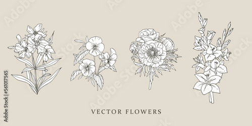 Print op canvas Gladiolus, viola, anemone. Vintage illustrations