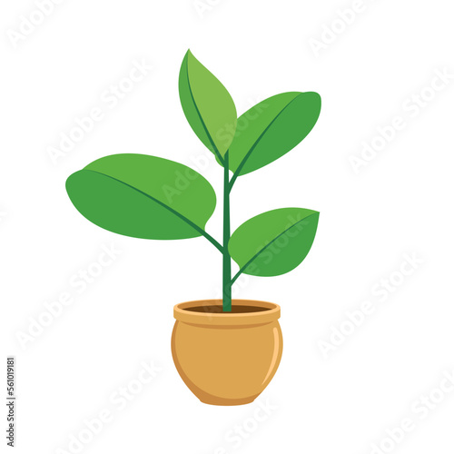 Houseplant ficus robusta icon vector. Green indoor flower in a pot icon vector isolated on a white background. Fresh green ficus plant in a flower pot drawing