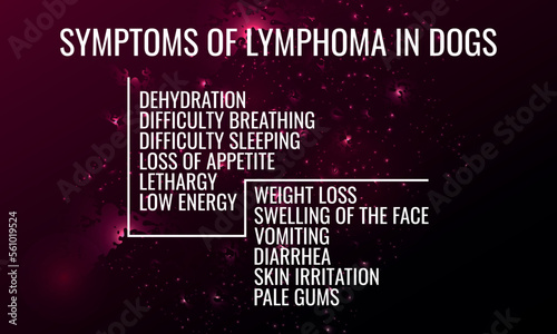 symptoms of Lymphoma IN dogs.  Vector illustration for medical journal or brochure. 