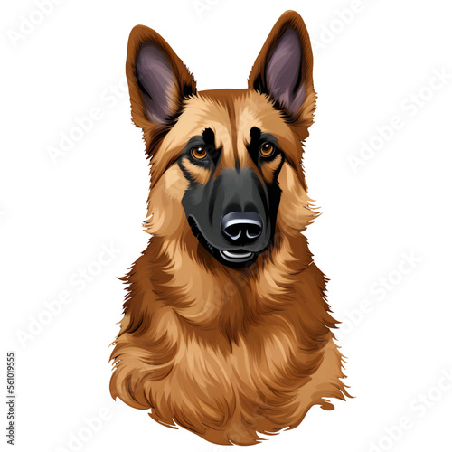 cool dog drawn digital painting watercolor illustration