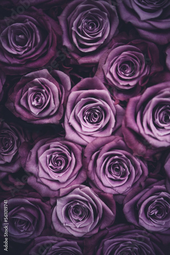 Canvas image of bunch of purple roses, close up of a boquet, vertical