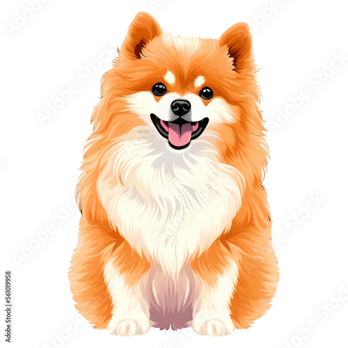 cute pomeranian drawn digital painting watercolor illustration photo