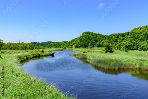 道東厚岸の別寒辺牛（べかんべうし）湿原
