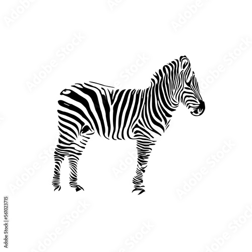 sketch of a zebra drawing with a transparent background