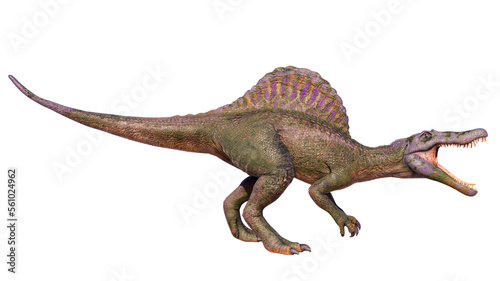 Spinosaurus roaring dinosaur isolated on blank background PNG  © akiratrang