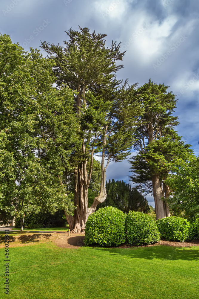 Phoenix Park, Dublin, Ireland