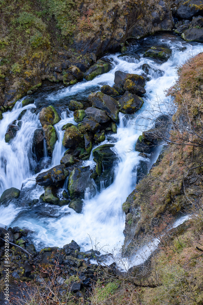 Obraz premium 流れ