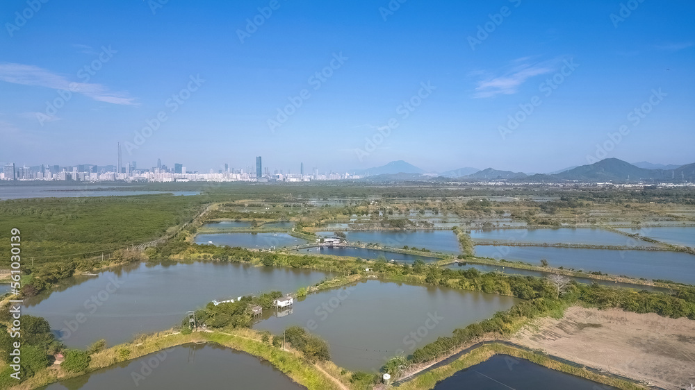 6 Jan 2023 the landscape of Fung Lok Wai Fish Pond