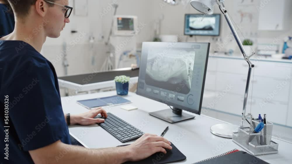 Veterinary Clinic Specialist Working on a Desktop Computer, Using a Software to Examines a Dog's X-Ray Scans for a Potential Bone Fracture. Female Veterinarian Walking in the Background Veterinary Clinic Specialist Working on a Desktop Computer, Using a Software to Examines a Dog's X-Ray Scans for a Potential Bone Fracture. Female Veterinarian Walking in the Background