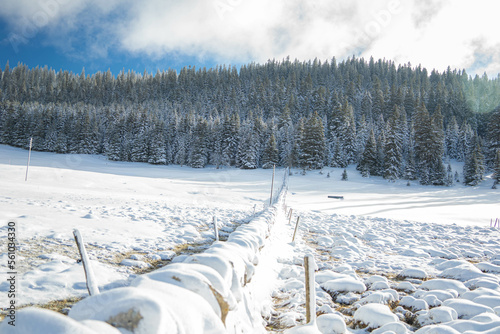 swiss snow scene