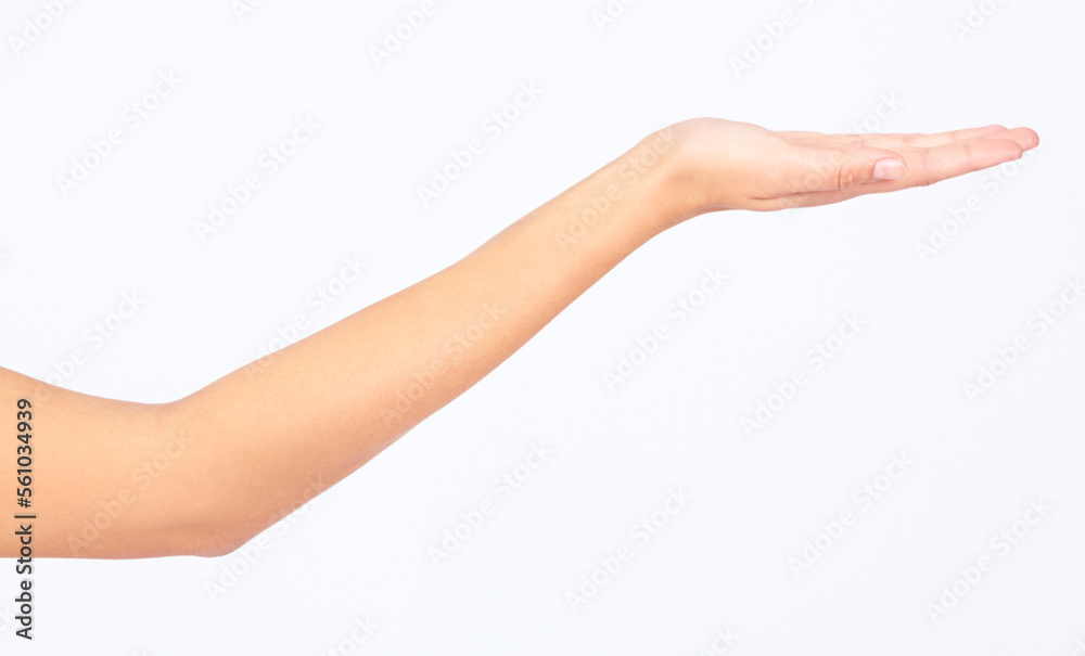 Model, hand or palm for marketing space on advertising mock up, product placement mockup or studio background. Woman, hand gesture or showing promotion in sales deal, logo branding or about us design