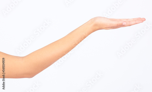 Model, hand or palm for marketing space on advertising mock up, product placement mockup or studio background. Woman, hand gesture or showing promotion in sales deal, logo branding or about us design
