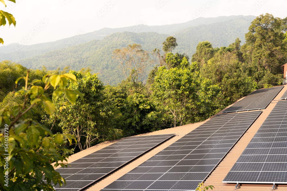 solar cells on the roof in the jungle. Photovoltaic panels on the roof ...