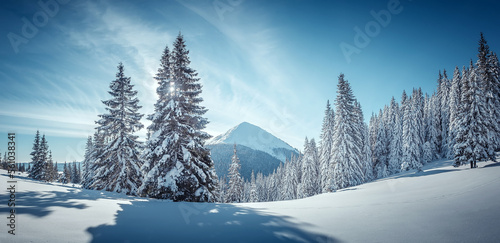 Splendid Alpine scenery in winter. Fantastic frosty morning in forest. snow-cowered pine trees under warm sunlight. Fantastic mountain highland. Amazing winter background. Wonderful Christmas Scene