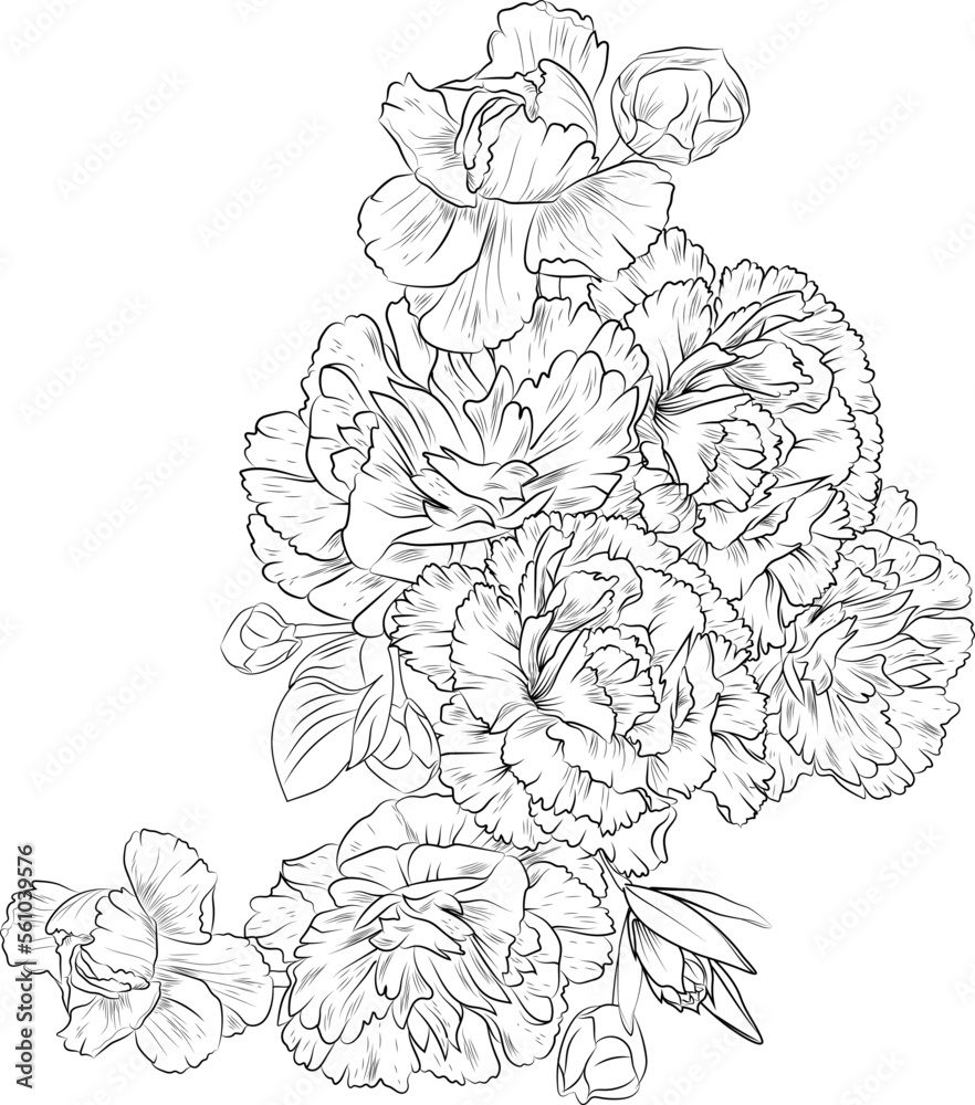 Fototapeta premium Bouquet of carnation flower hand drawn pencil sketch, coloring page, and book for adults isolated on white background floral element tattooing, illustration ink art, blossom dianthus-spring collect.