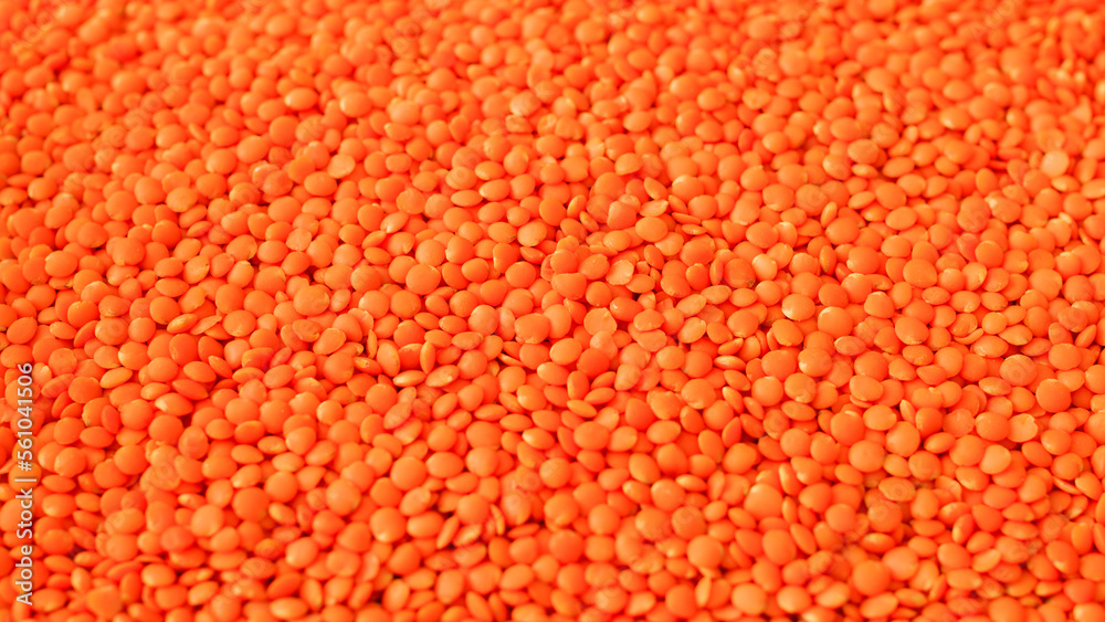 Red raw lentils. Food background. Top View. Healthy food. Selective focus. Red raw lentils. Food background. Top View. Healthy food. Selective focus.
