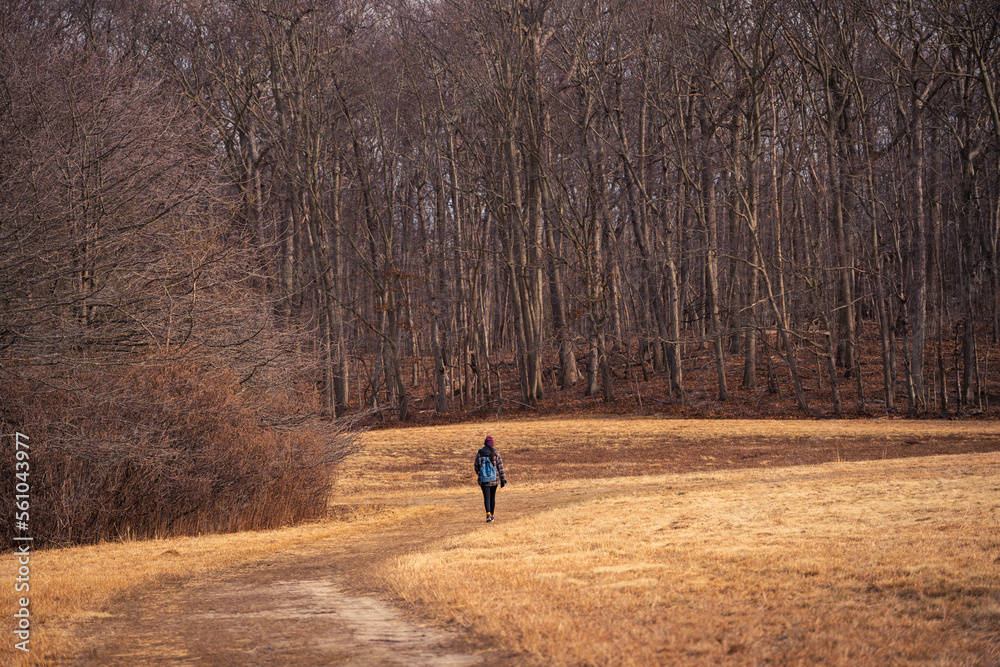 Woman hiking in the forest Woman hiking in the forest