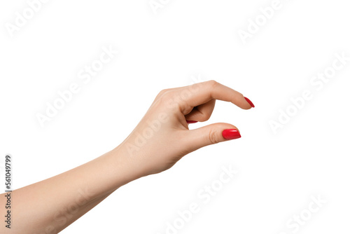 Female hand as if holding something or showing size, isolate empty hands.