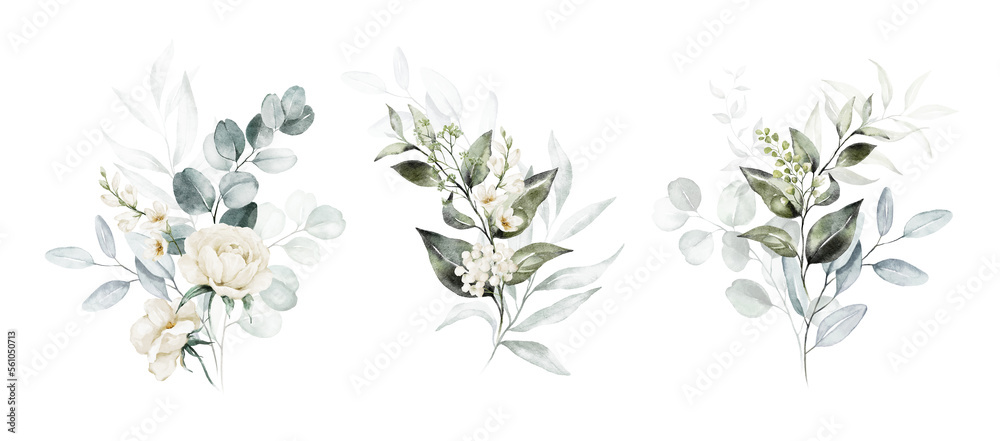 Watercolor floral illustration set - white flowers, green leaf branches collection, for wedding stationary, greetings, wallpapers, fashion, background. Eucalyptus, olive, leaves, chamomile.