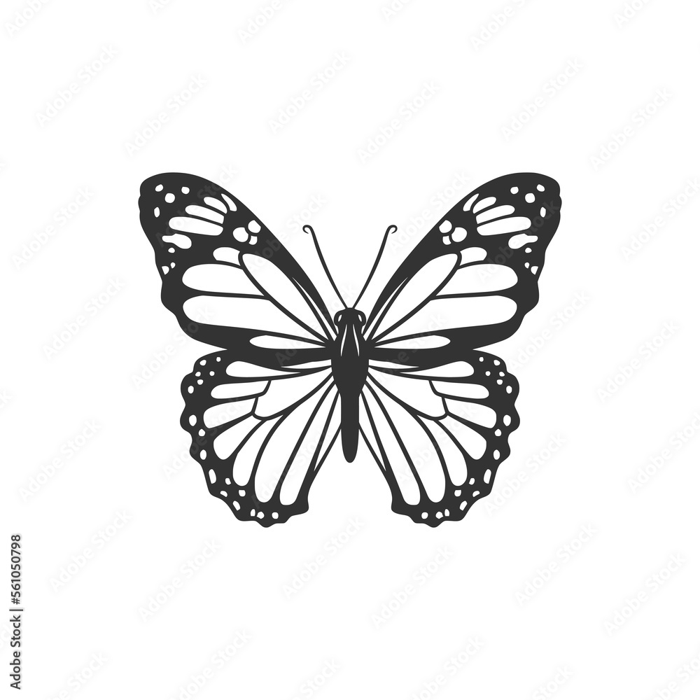 Beauty butterfly line art illustration black and white