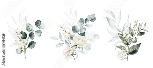 Watercolor floral illustration set - white flowers, green leaf branches collection, for wedding stationary, greetings, wallpapers, fashion, background. Eucalyptus, olive, leaves, chamomile.