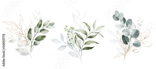 Watercolor floral illustration set - green gold leaf branches collection  for wedding stationary  greetings  wallpapers  fashion  background. Eucalyptus  olive  leaves.