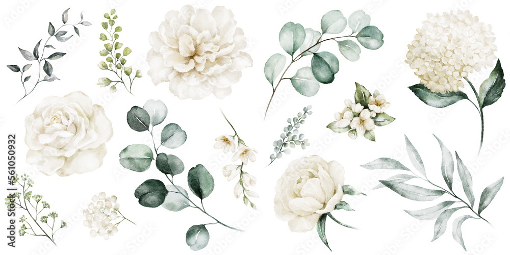 Fototapeta premium Watercolour floral illustration set. White flowers, green leaves individual elements collection. Rose, peony, eucalyptus. For bouquets, wreaths, wedding invitations, anniversary, birthday, prints. 