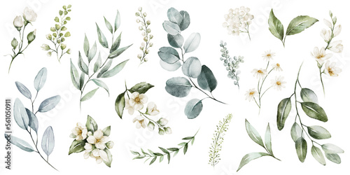 Obraz na plátne Watercolour floral illustration set