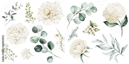 Watercolour floral illustration set. White flowers, green leaves individual elements collection. Rose, peony, eucalyptus. For bouquets, wreaths, wedding invitations, anniversary, birthday, prints. 