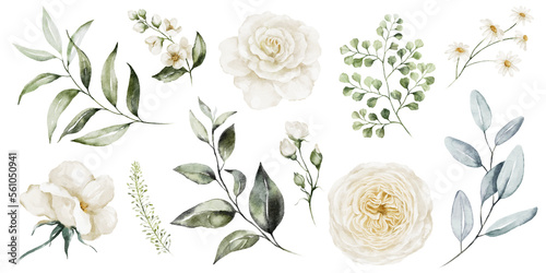 Watercolour floral illustration set. White flowers, green leaves individual elements collection. Rose, peony, eucalyptus, chamomile. For wedding invitations, anniversary, birthday, prints, posters.