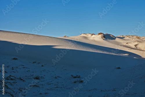 Namaqualand Beach Dunes 11352