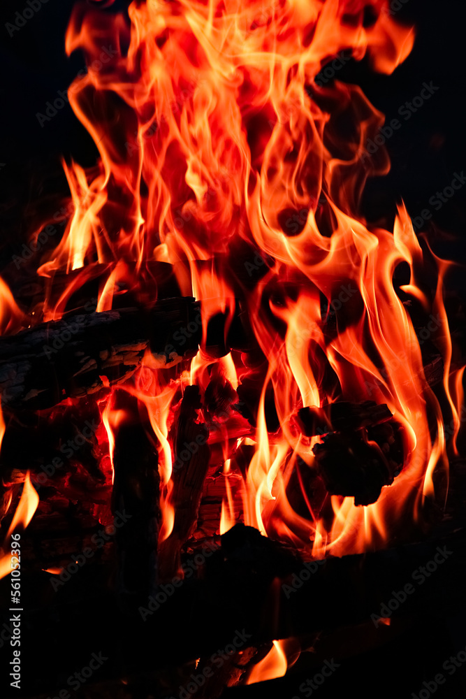 a Fire with coals and fire on nature picnic background. Burns out a bonfire for food on the street a Fire with coals and fire on nature picnic background. Burns out a bonfire for food on the street