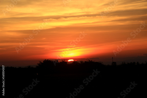 Tree silhouette sunset over trees on the hill in hot summer evening beautiful sunset background. © Parichart