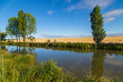 small river and fields © Rui Vale de Sousa