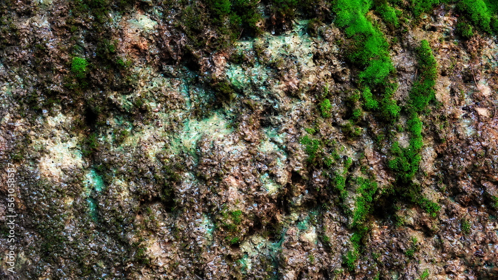 Beautiful Bright Green Moss. Stone and rock texture. Rocks full of the moss texture in nature for Wallpaper. Soft focus. Background Beautiful Bright Green Moss. Stone and rock texture. Rocks full of the moss texture in nature for Wallpaper. Soft focus. Background