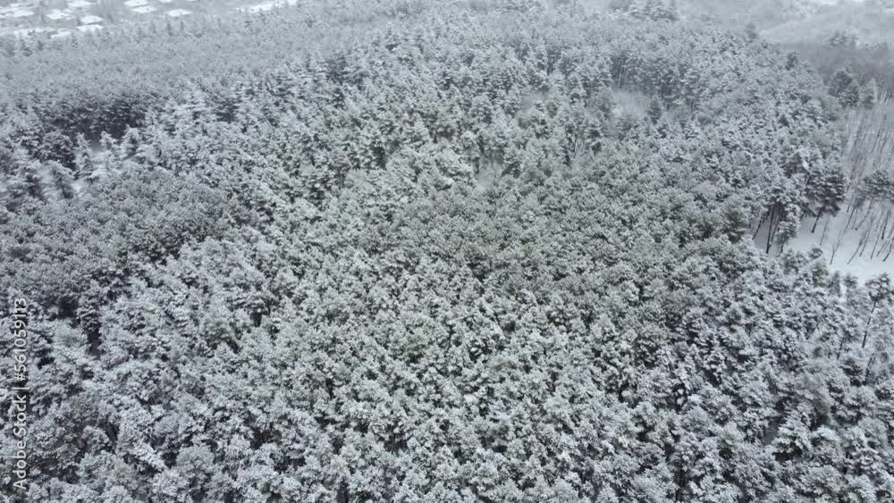 aerial view of the snowy forest aerial view of the snowy forest